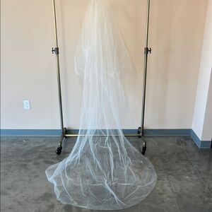 Untamed Petals Molly Veil